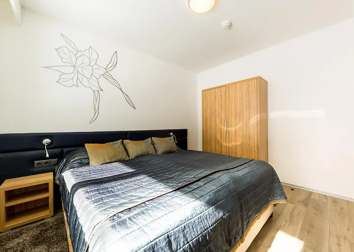 公寓 Sissi Park - Schladming *