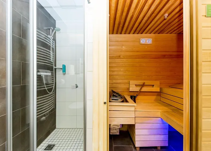 Sissi Park - Schladming 公寓 *