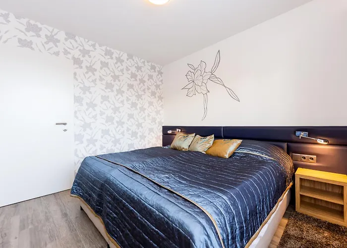 Sissi Park - Schladming 公寓 *